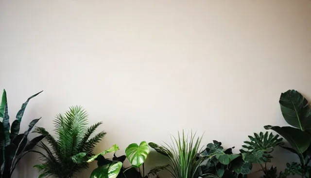 技术推广中注重检查要点的选型与维护建议